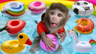 Monkey Baby Bim Bim Drives To The Pool And Bring A Swim Float With Puppy in the garden