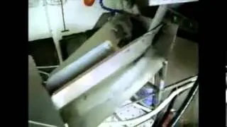 Intelligent Automatic Fish Processing Machine