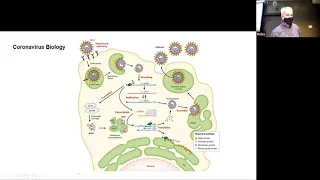 "Do People Develop Naturally Acquired Immunity to Covid 19?"