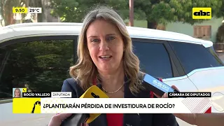 Diputada alerta sobre supuesta intención de retirarle investidura