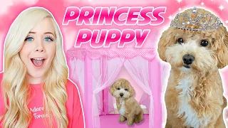 I TURNED MY PUPPY INTO A PRINCESS FOR 24 HOURS!