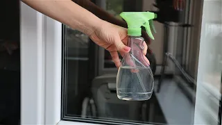 To make your windows shine like never before, do this