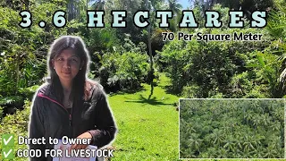 #Vlog16 | 3.6 HECTARES | 70 Per Square Meter | GOOD FOR LIVESTOCK 🐐 |Direct to Owner| 2.5 Million