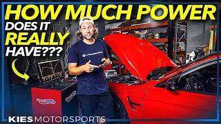 How much power does a STOCK F80 M3 REALLY Have?! BMW F80 M3 Baseline Dyno Runs!