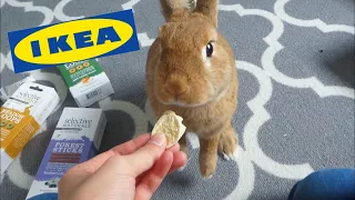 IKEA Haul / Rabbit Supplies