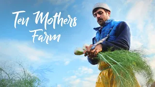 Three farmers CRUSHING the CSA market in North Carolina! // Ten Mothers Farm