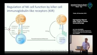 Karl-Johan Malmberg - Harnessing Natural Killer Cells in Cancer Immunotherapy