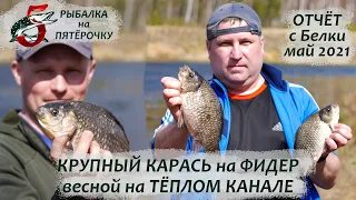 Ловля крупного карася весной на тёплом канале