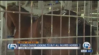 Horse trainer offers to take over costs of injuries from Lake Worth barn fire to keep 11 surviving h