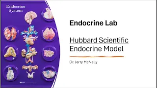 Endocrine Lab Using the Hubbard Scientific Model