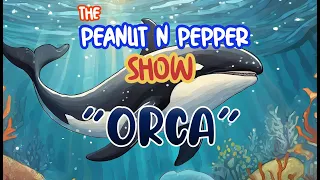 10 Amazing Facts about Playful Orcas | Fun and Educational Kids Content!