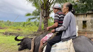 My grandparents❤️