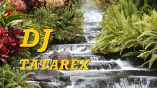 remix house misto DJ TATAREX.wmv