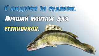 С фидером за судаком. Лучший живцовый монтаж на судака  для ставропольских степнячков.