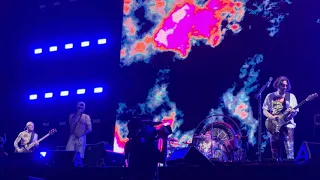 Red Hot Chili Peppers - Under The Bridge (Tokyo Dome 2024-05-20)