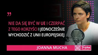 Joanna Mucha: KE nie pozwala grać w kotka i myszkę, PiS zbiera efekty swoich działań