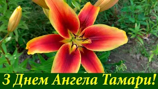 Привітання з Днем Ангела для Тамари! Привітання з Іменинами для Тамари! Іменини Тамари 1 травня
