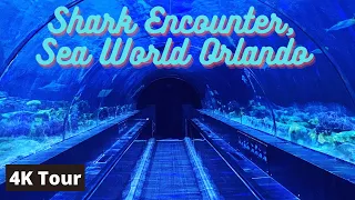 Shark Encounter - Sea World Orlando - 4K Walk-through Tour