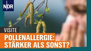 Pollenallergie: Was hilft gegen Heuschnupfen? | Visite | NDR