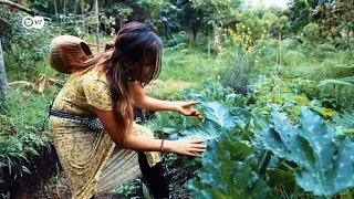 Permacultura - Produzindo mais Alimentos sem Destruir o Planeta