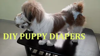 HOW TO MAKE DOG DIAPERS AT HOME? USING BABY DIAPERS FOR PUPPIES