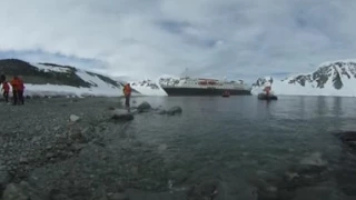 360 dancopenguin Antarctica