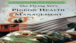 Racing Pigeon Health And Treatments!!!!