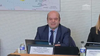 Audition de Philippe Gros à la commission des affaires étrangères le 28 février 2024