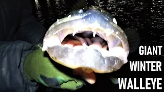 10 POUND WALLEYE IN THE NET!!! Insane Catch! (Pennsylvania Rivers)