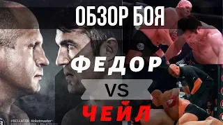 ФЕДОР ЕМЕЛЬЯНЕНКО ПРОТИВ ЧЕЙЛА СОННЕНА-ПОЛНЫЙ ОБЗОР БОЯ