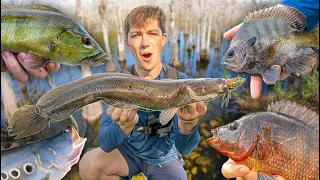 24 HOUR MULTI-SPECIES FISHING CHALLENGE!! (FLORIDA)