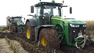 John Deere 8320R Gets TOTALLY STUCK in MUDHOLE During Corn Chopping 2019 | Maisernte | DK Agri