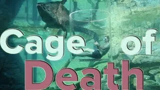 The Cage of Death - Darwin, Northern Territory