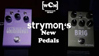 Vibin With Strymon (NEW UltraViolet&Brig) | Working Class Music