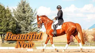 Beautiful Now || Original Video || Equestrian Music Video
