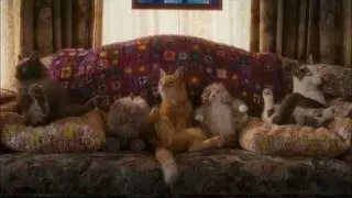 Catnip Scene (Cats and Dogs II - Revenge of Kitty Galore)