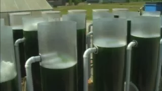 Biofuels from Algae Project - Brunswick Community College Center for Aquaculture & Biotechnology