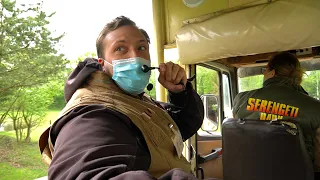 Matthias moderiert die Dschungel Safari Tour! (Serengeti Park)