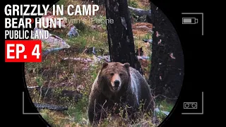 GRIZZLY BEAR IN LLAMA CAMP! | EP. 4 | BEAR HUNT | PUBLIC LAND