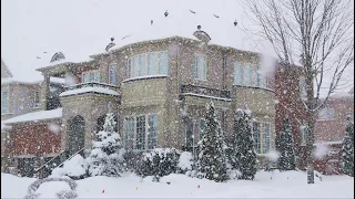 BIG SNOW STORM in Toronto Suburban area of Beautiful and GTA Expensive Houses