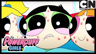 LOVELY SISTERS! Most Sisterly Powerpuff Girls Moments | Powerpuff Girls | Cartoon Network