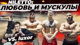 NILETTO: ЛЮБОВЬ и МУСКУЛЫ / vs LUXOR