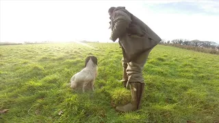 Gundog training beating and picking up