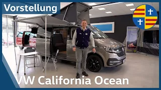 Vorstellung I VW T 6.1 California Ocean I Braasch Gruppe I 4K