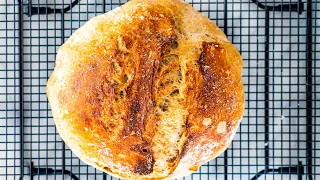 No Knead Whole Wheat Bread