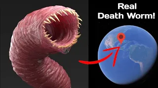 Death Worm In Real Life on Google Earth