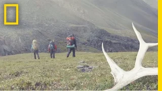 A Poetic Journey Through Alaska’s Arctic | Short Film Showcase