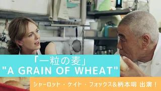 SHORT FILM『一粒の麦』 / "A Grain of Wheat"