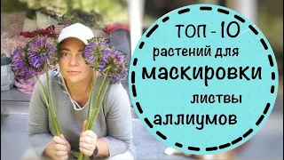 Сохнет листва у Луков? ☘️ ТОП 10 самых простых растений, которые закроют листву  декоративных луков.