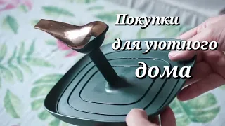 Покупки для УЮТНОГО дома Фикспрайс•Вайлдберис✨️Мотивация на уборку👌🏻Обзор полочек🌱Новые растения